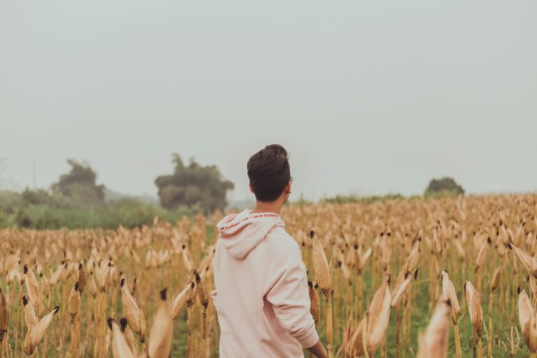 Corn: Golden Goodness in Every Kernel
