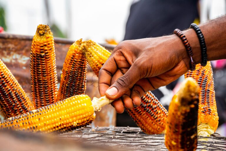 Flavor Corn: The Golden Bite That Never Gets Old š½āØ