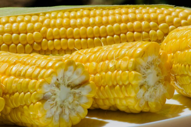 Sweet Corn: Natureās Golden Treat š½š